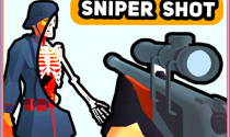 Sniper Shot: Bullet Time