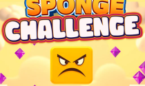 Sponge Challenge