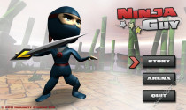 Ninja Guy